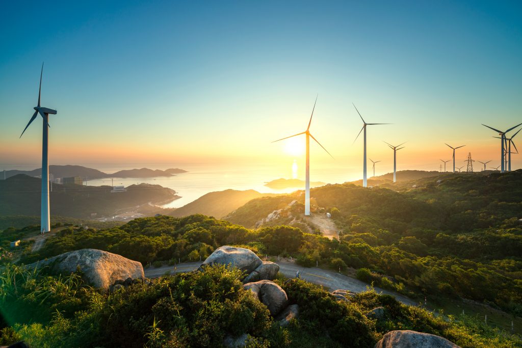 Presa Nueva Wind Farm project submits environmental permit application