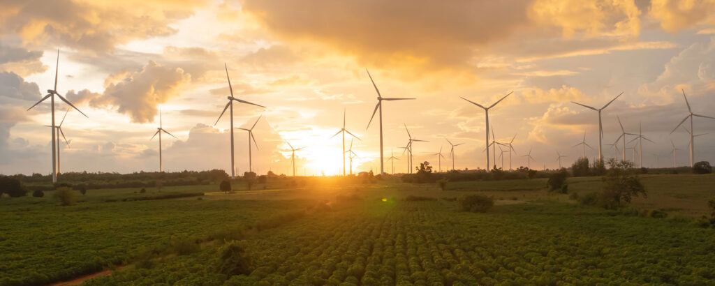 Accelerating Mexico’s Renewable Future: The Role of EL 24 & Presa Nueva Wind Projects